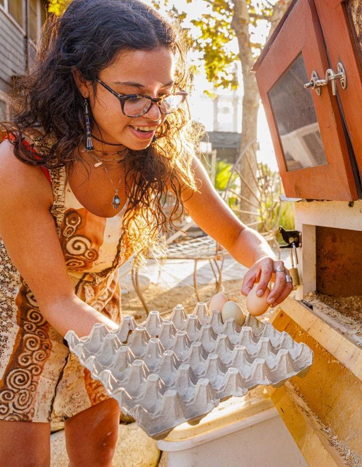 A student collects eggs in the student garden